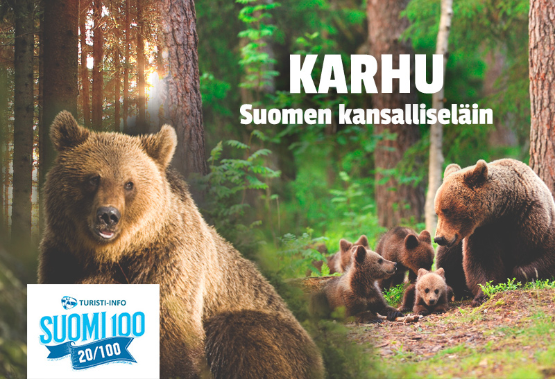 Turisti-Info karhu - Suomen kansalliseläin