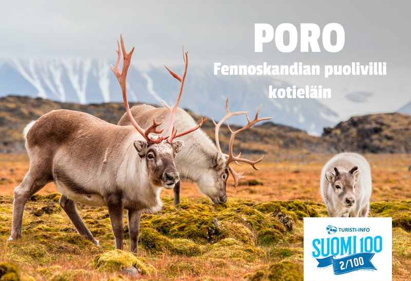 Turisti-Info poro
