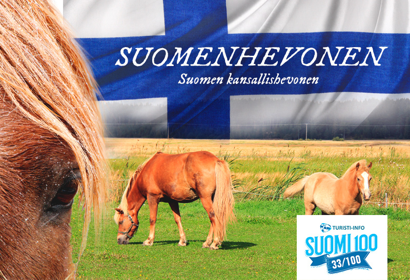 Turisti-Info Suomenhevonen