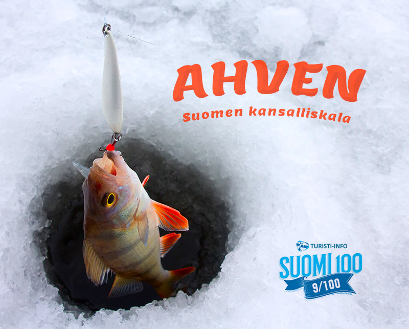 Turisti-Info kansalliskala ahven